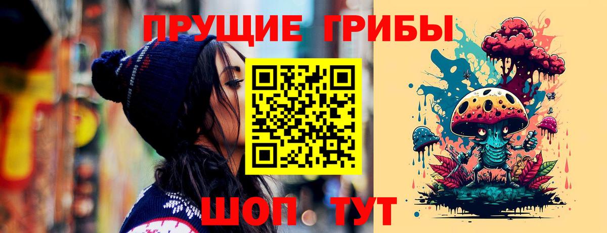 Новороссийск  Псилоцибиновые грибы мицелий  Вход с VPN 